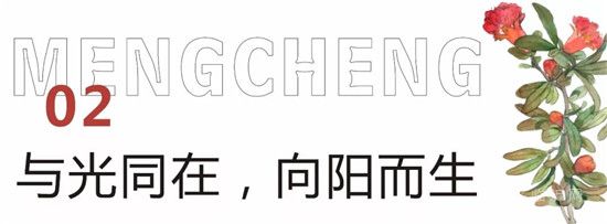 泰鑫·東望府 | 相同的生活，不同的尊貴——疊墅生活