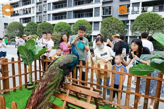 時代啟封 | 泰魯·時代城景觀園林示范區(qū)盛大開放